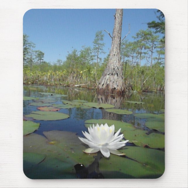 Water Lily 2 Mouse Pad (Front)
