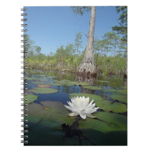 Water Lily 2 Notebook