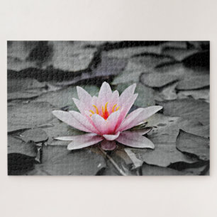 Water Lily Aquatic Plant Jigsaw Puzzle