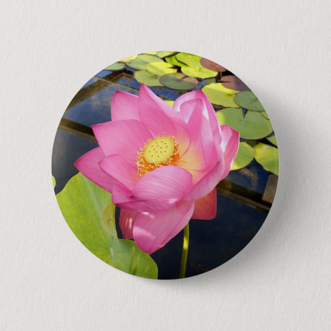 Water Lily Badge (Front)