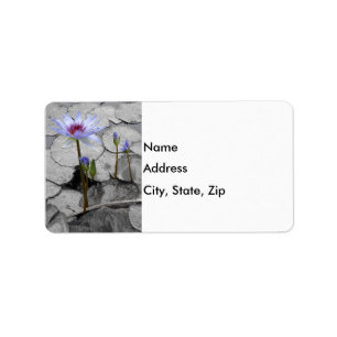 Water Lily Beauty Label