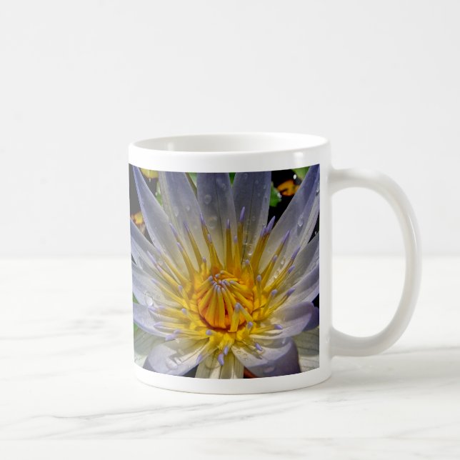 Water Lily Blue & Gold Coffee Mug (Right)