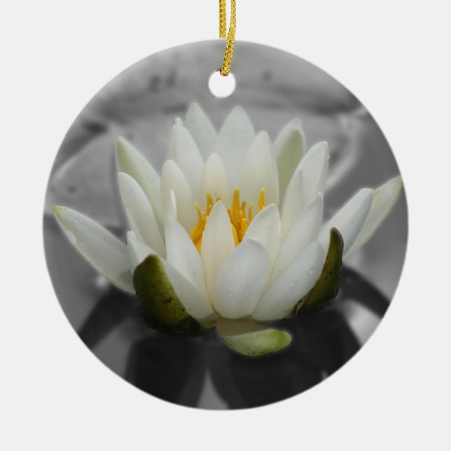 Water Lily BW Flower Ornament (Front)