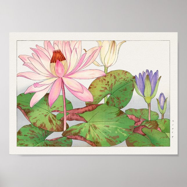 Water lily by Tanigami Konan Poster (Front)