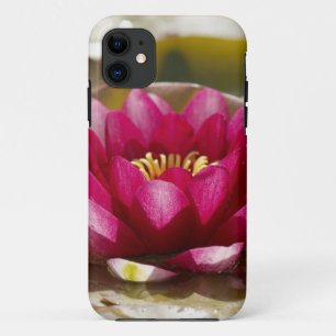 Water lily iPhone 11 case
