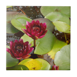 Water Lily Ceramic Tile