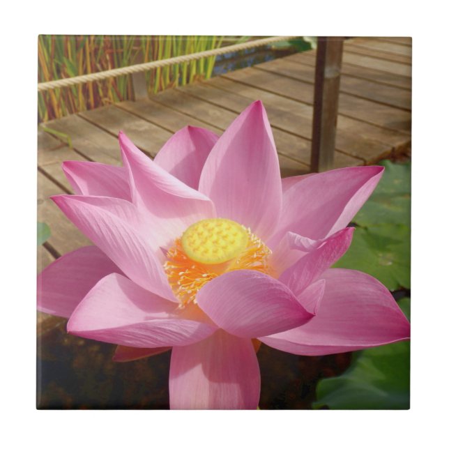 Water Lily Ceramic Tile (Front)