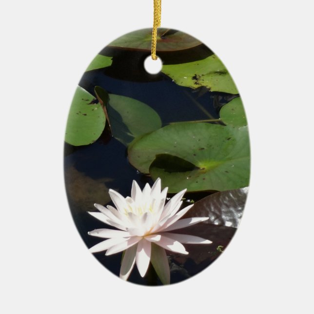 Water Lily Ceramic Tree Decoration (Front)