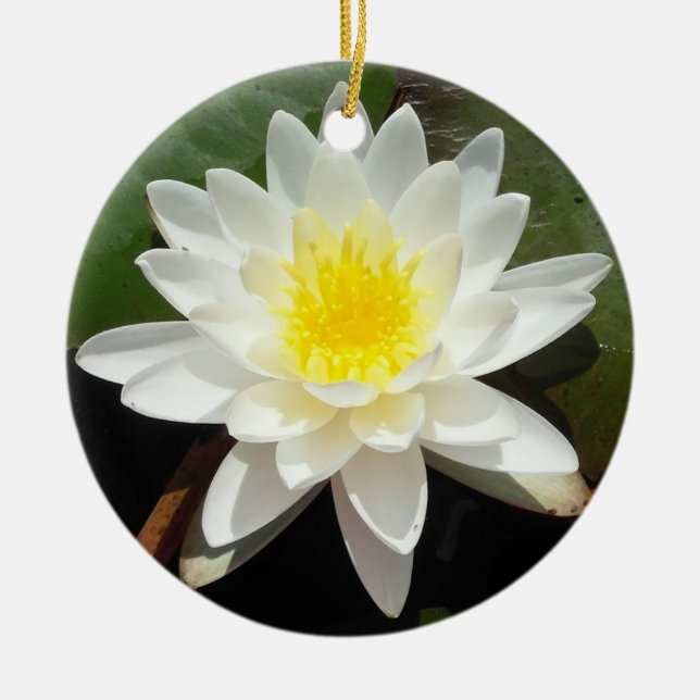 Water Lily Ceramic Tree Decoration (Front)