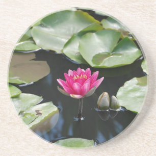 water lily coaster