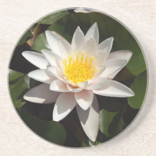 Water lily coaster