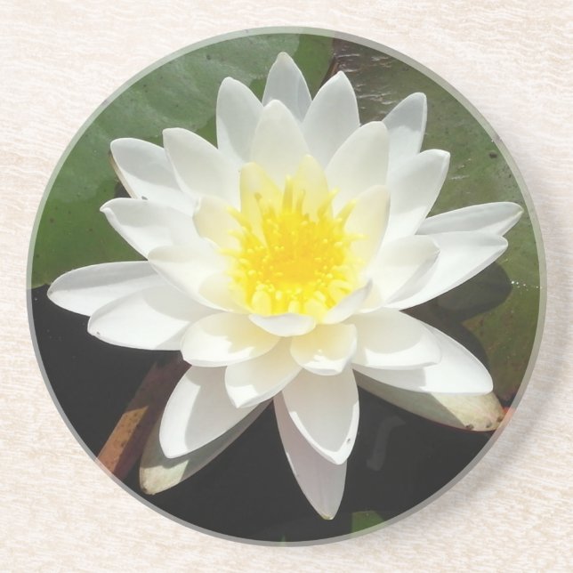 Water Lily Coaster (Front)