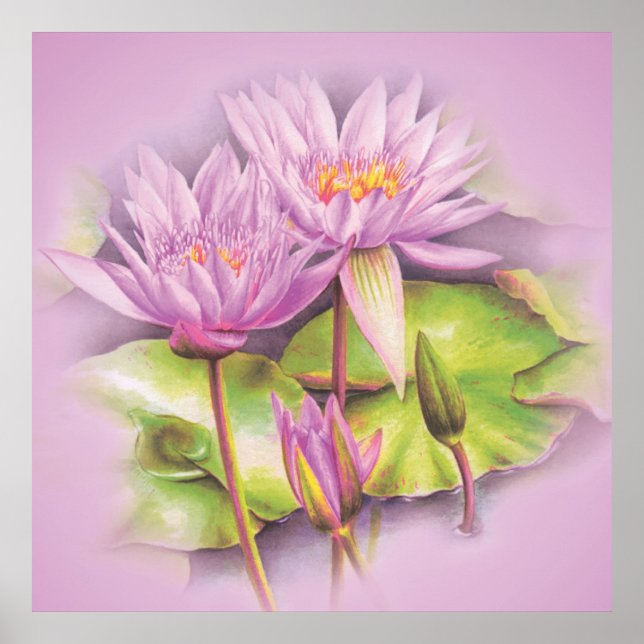 Water lily fine art botanical poster print (Front)