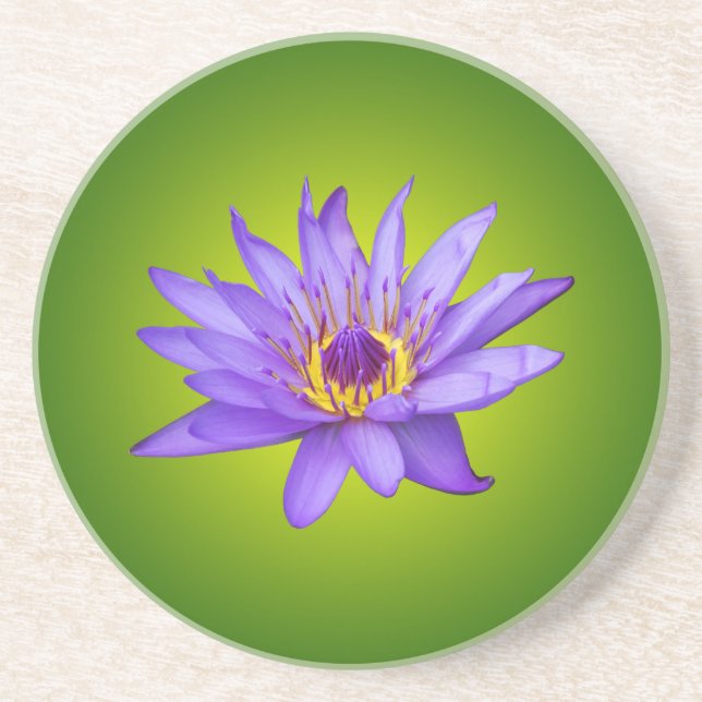 Water Lily Flower Pond Aquatic Purple Water Bloom Coaster (Front)