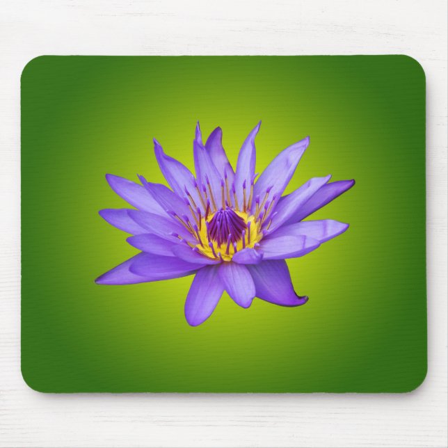 Water Lily Flower Pond Aquatic Purple Water Bloom Mouse Pad (Front)