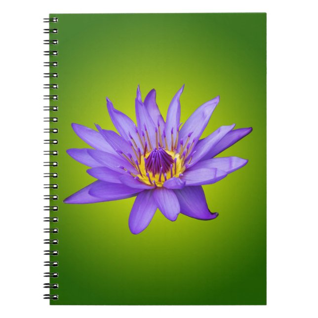 Water Lily Flower Pond Aquatic Purple Water Bloom Notebook (Front)