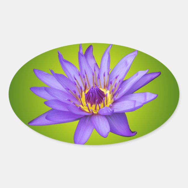 Water Lily Flower Pond Aquatic Purple Water Bloom Oval Sticker (Front)