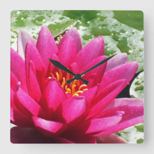 Water lily flower square wall clock