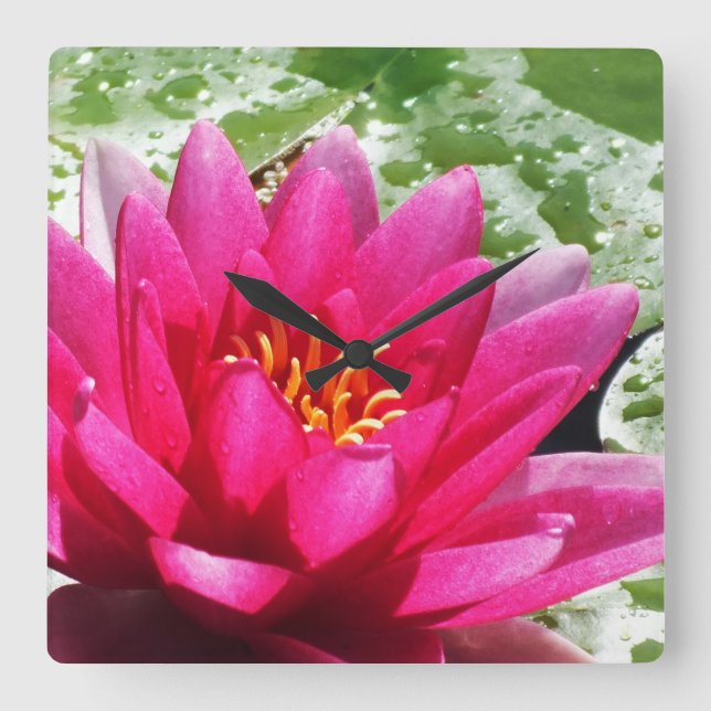 Water lily flower square wall clock (Front)