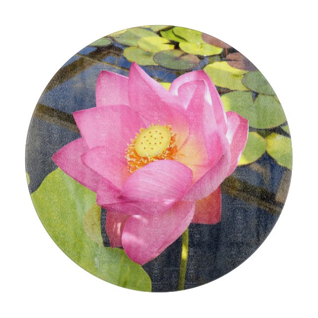 Water Lily Glass Chopping Board (Front)