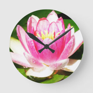 Water lily in crimean garden round clock