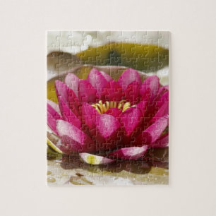 Water lily jigsaw puzzle