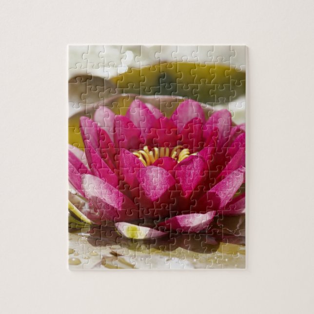 Water lily jigsaw puzzle (Vertical)