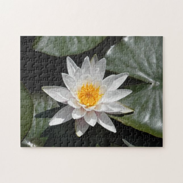 Water Lily Lotus Flower Beautiful Picture Photo Jigsaw Puzzle (Horizontal)