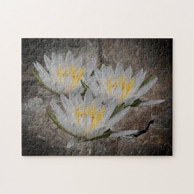 Water Lily Lotus Flower On Stone    Jigsaw Puzzle (Horizontal)