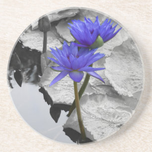 Water Lily Love Coaster