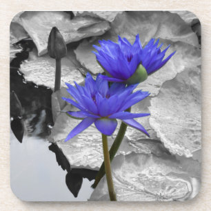 Water Lily Love Hard Plaster Coaster