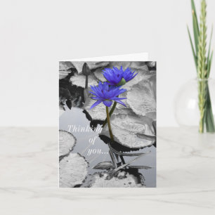 Water Lily Love Thinking Of You Card