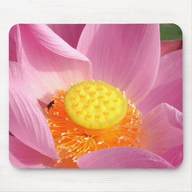 Water Lily Mouse Mat (Front)