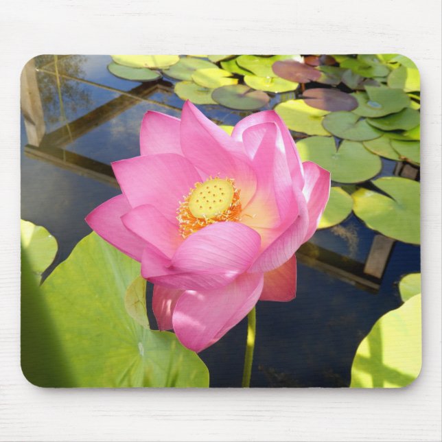 Water Lily Mouse Mat (Front)