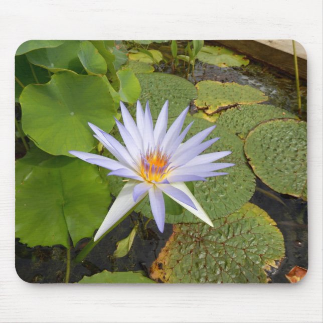 Water Lily Mouse Mat (Front)