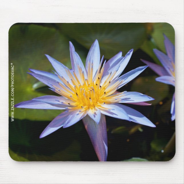 Water Lily Mouse Pad (Front)
