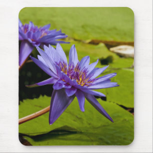 Water Lily Mousepad