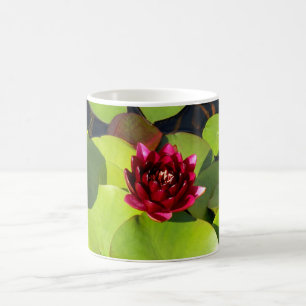 Water Lily Mug