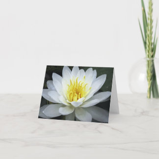 Water Lily Note Card