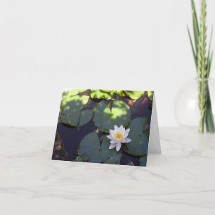 Water Lily Note Card