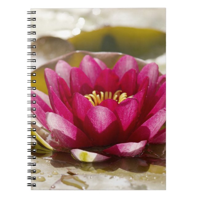 Water lily notebook (Front)