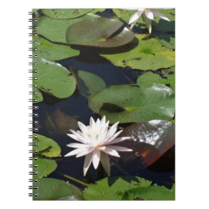Water Lily Notebook
