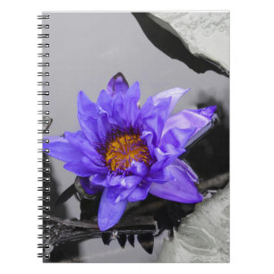 Water Lily Notebook