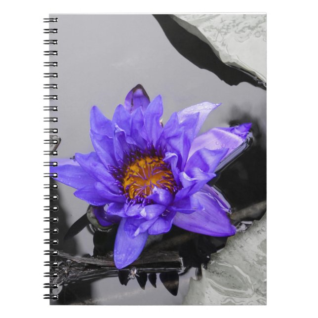 Water Lily Notebook (Front)