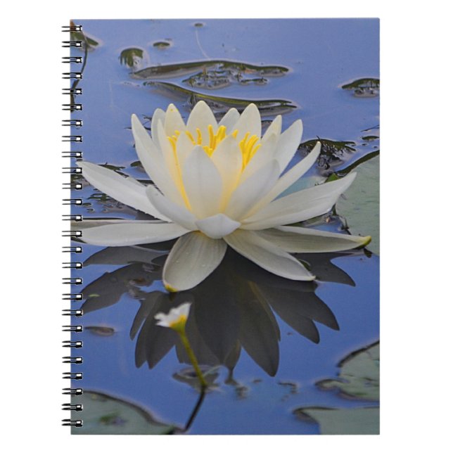 Water lily Notebook (Front)