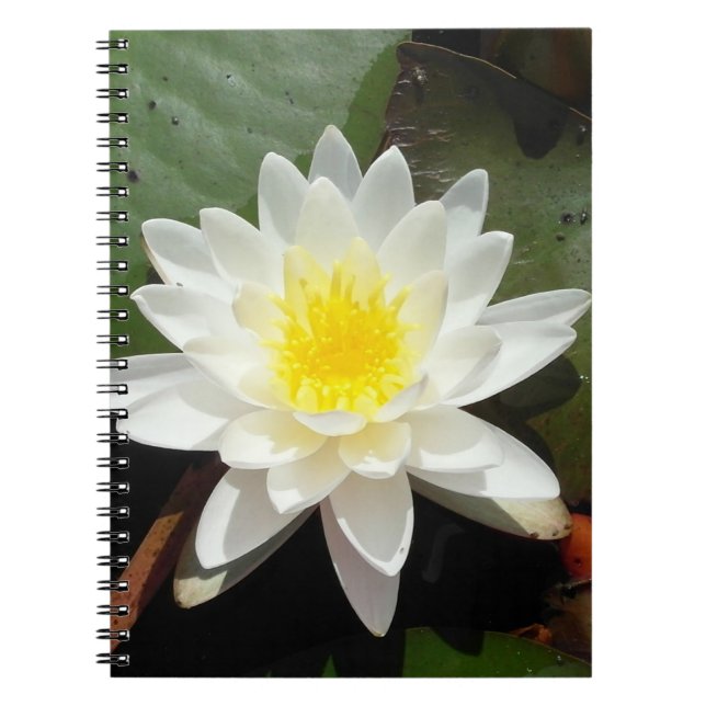 Water Lily Notebook (Front)