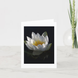 Water Lily Notecard