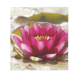 Water lily notepad