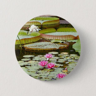 Water Lily Pads Ponds 6 Cm Round Badge