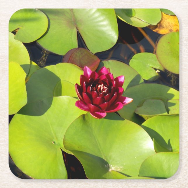 Water Lily Paper Coaster (Front)